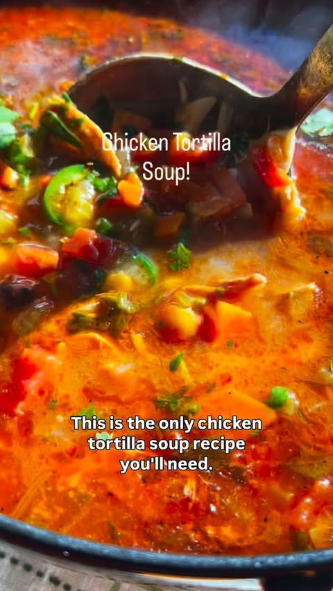 Instagram post by @mimosas_and_samosas for Better Than Bouillon. Caption reads: CHICKEN TORTILLA SOUP!🔥Recipe ⬇️
There’s a reason....