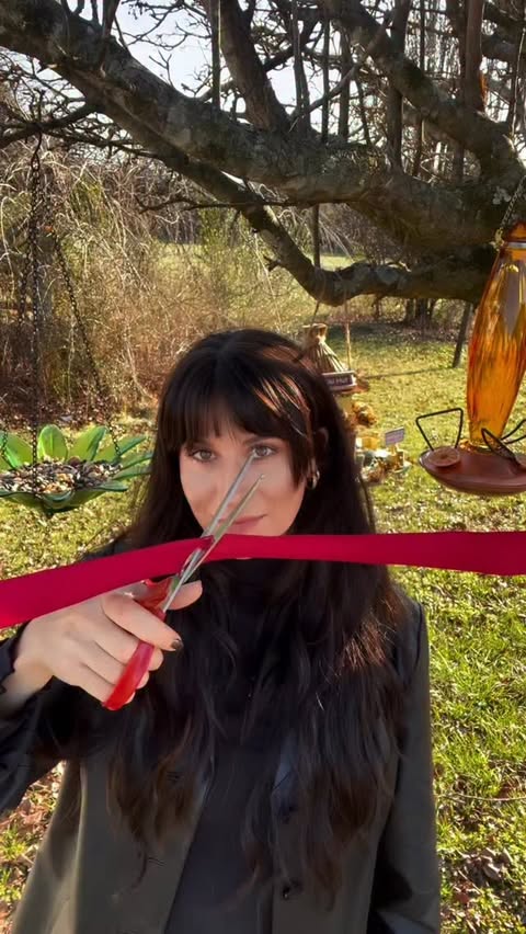 Instagram post by @bonnerblack for Chewy. Caption reads: [...] for birds is in my backyard - thanks to....