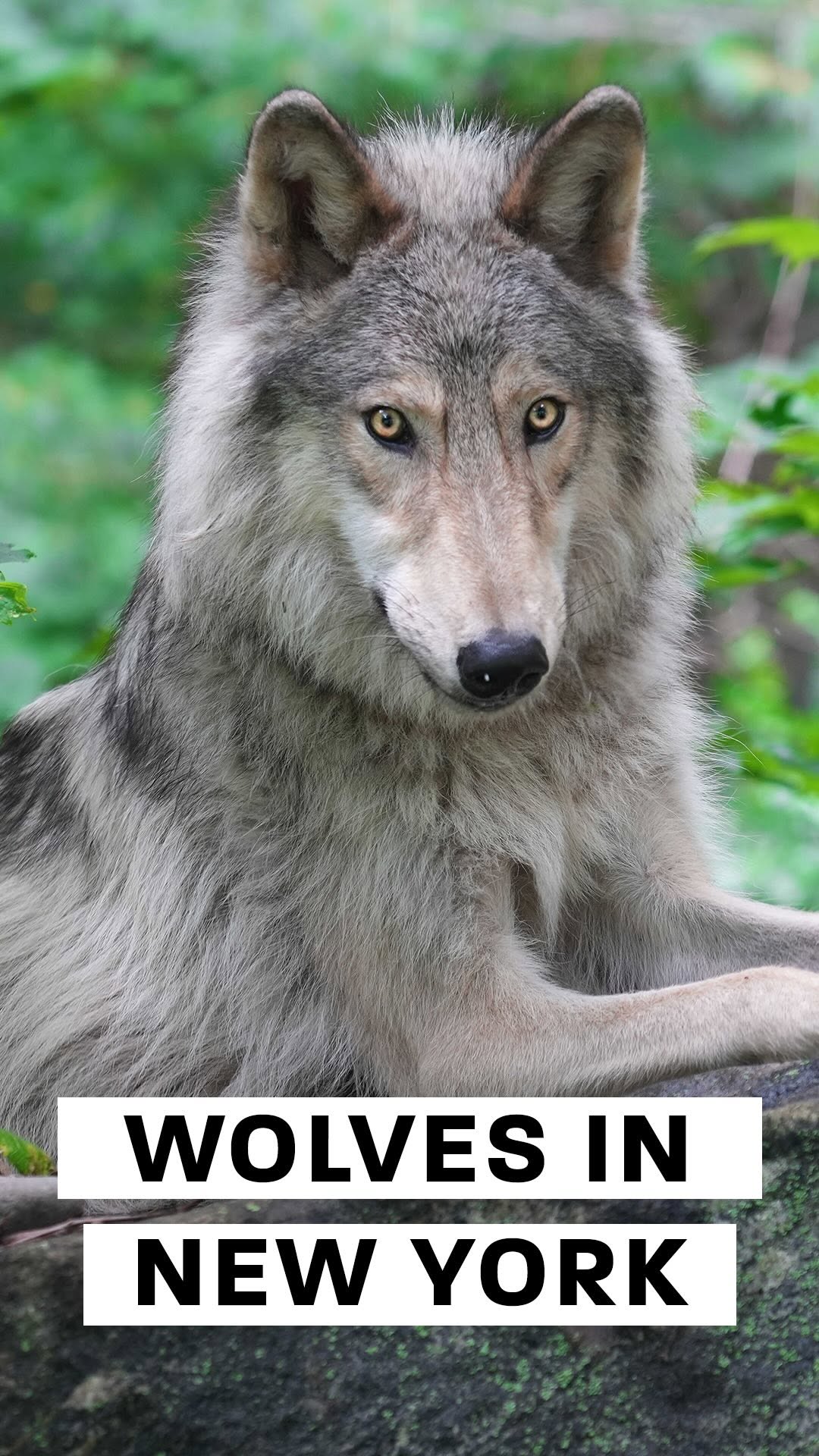 Instagram post by @nikkiitomlin for Thrillist. Caption reads: Are you brave enough to spend the night with....