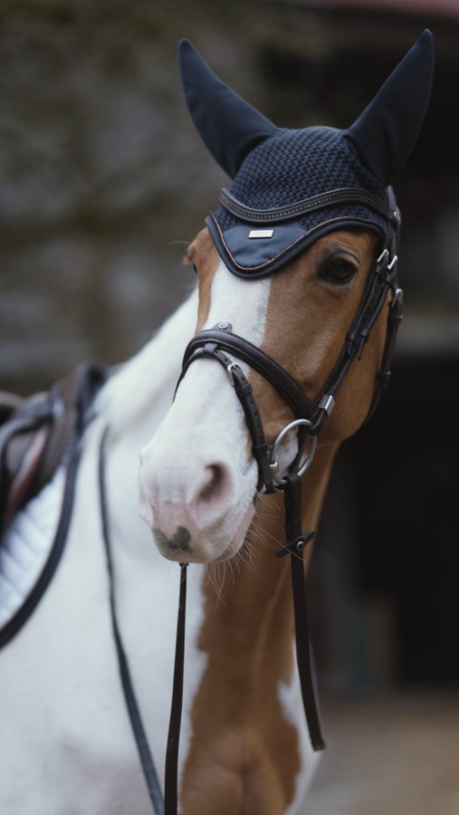 Instagram post by @fg.horses for EQUESTRIAN STOCKHOLM. Caption reads: werbung Get your new competition Outfit....