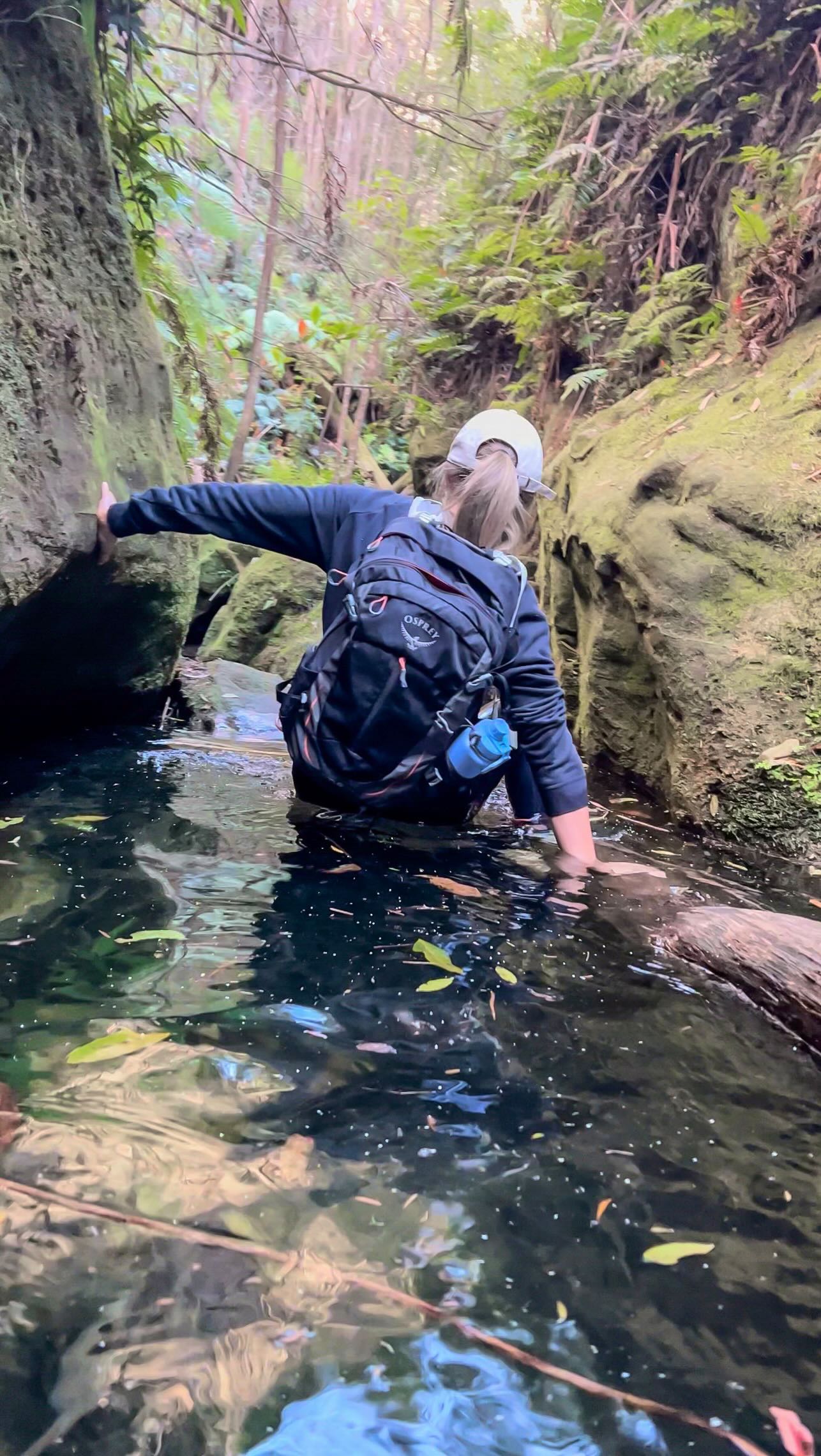 Instagram post by @reachthepeaks for AllTrails. Caption reads: The tracks might not be marked, but the memories....