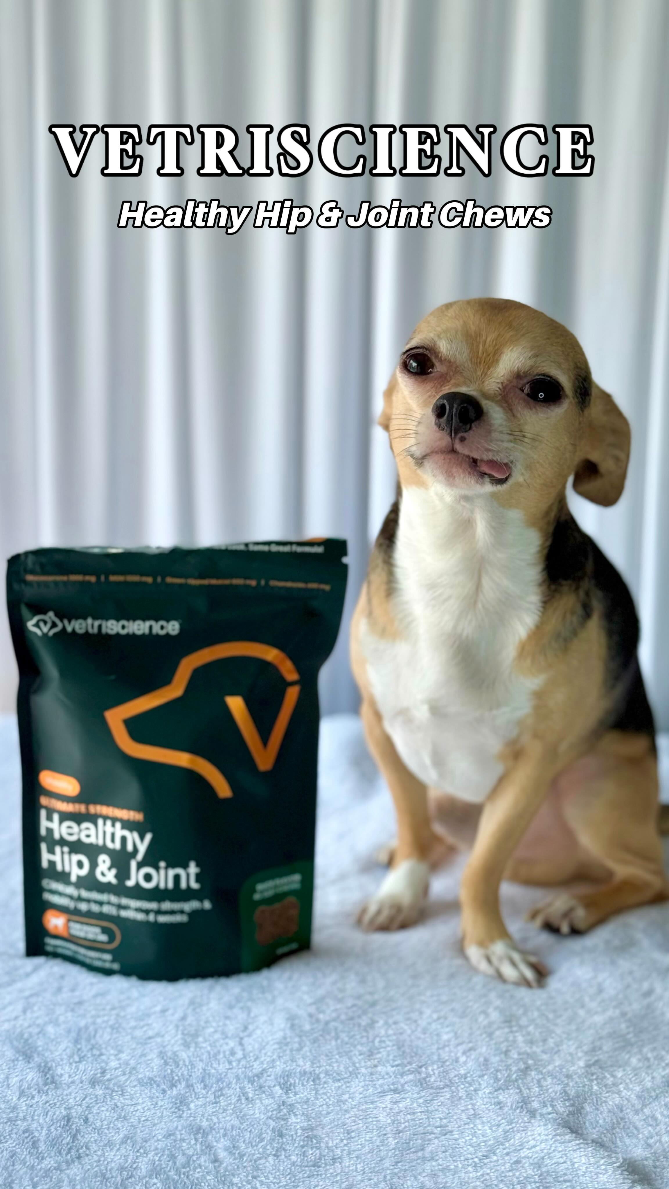 Instagram post by @itsbuddybuddy for VetriScience. Caption reads: I started using @vetriscience Extra Strength....