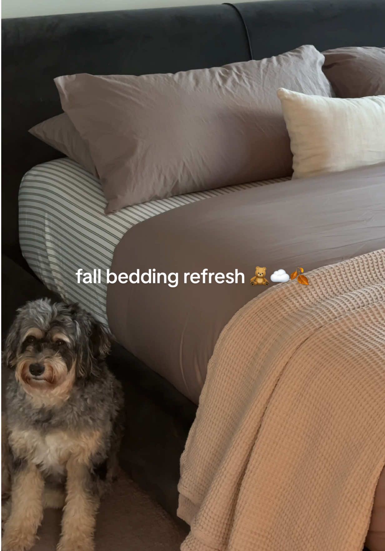 TikTok post by @brookelmason for Brooklinen. Caption reads: [...] my favorite sheets to exist @Brooklinen....