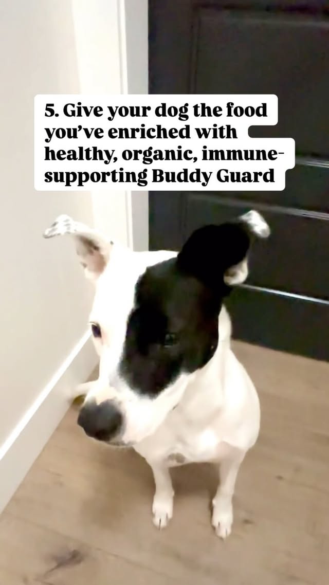 Instagram post by @a.very.cali.life for Petsmont. Caption reads: [...] supplement like Buddy Guard from @petsmont....