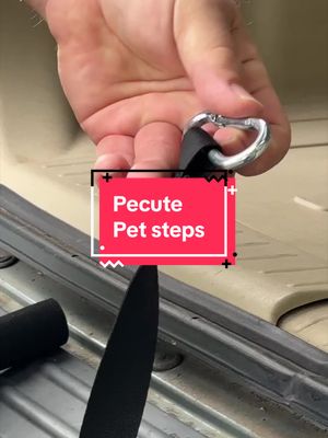 TikTok post by @snowy6214 for Pecute. Caption reads: @Pecute Official [...].
