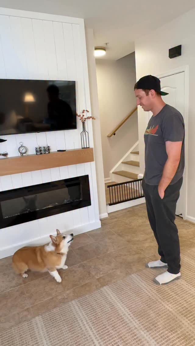 Instagram post by @hammyandolivia for The Farmer's Dog. Caption reads: He has happy feet!

Hammy is overcome with joy....