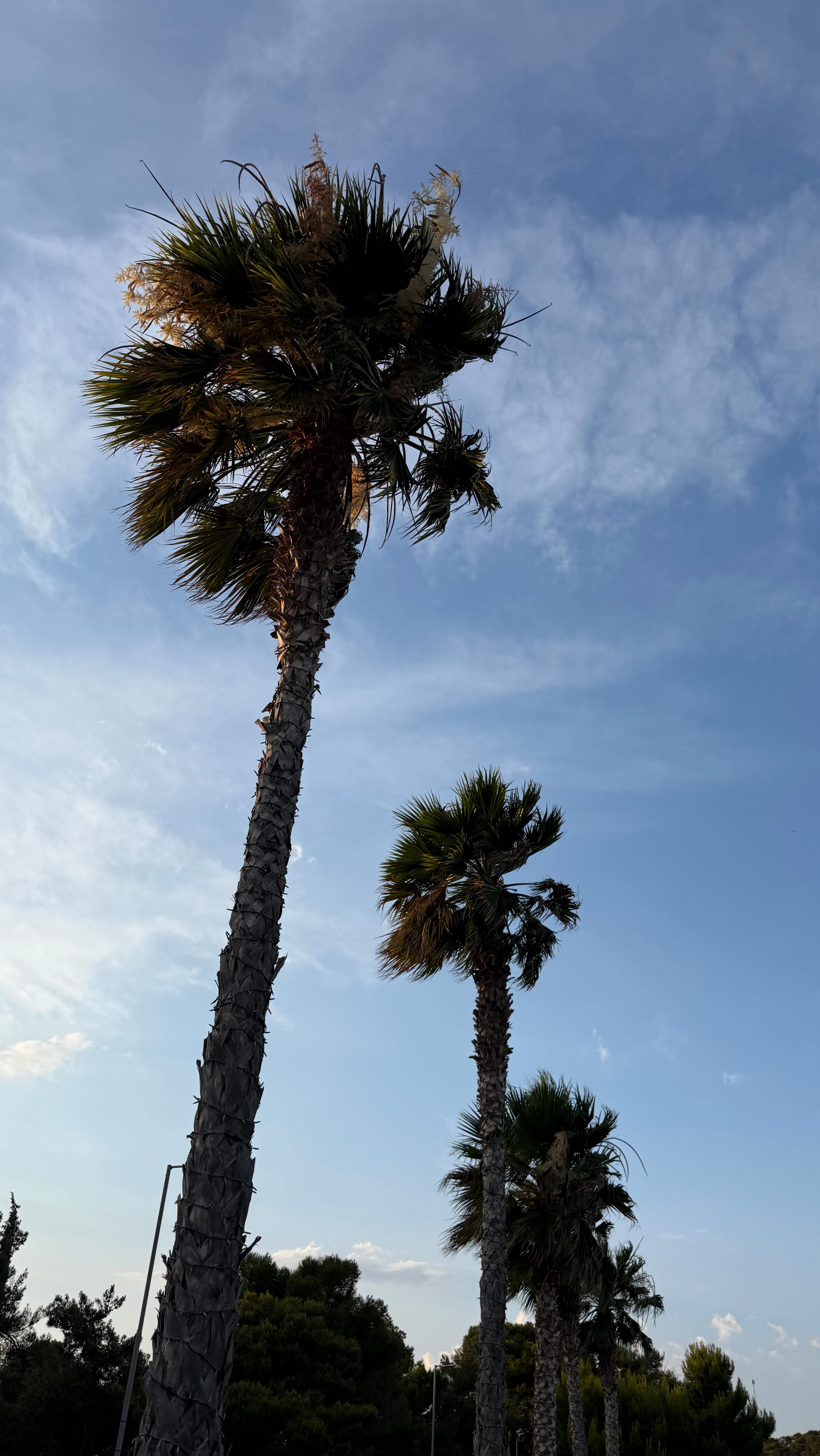 Instagram post by @yannalinnaa for Wattpad. Caption reads: #NeutrogenaPartner So lesson learned, @neutrogena....