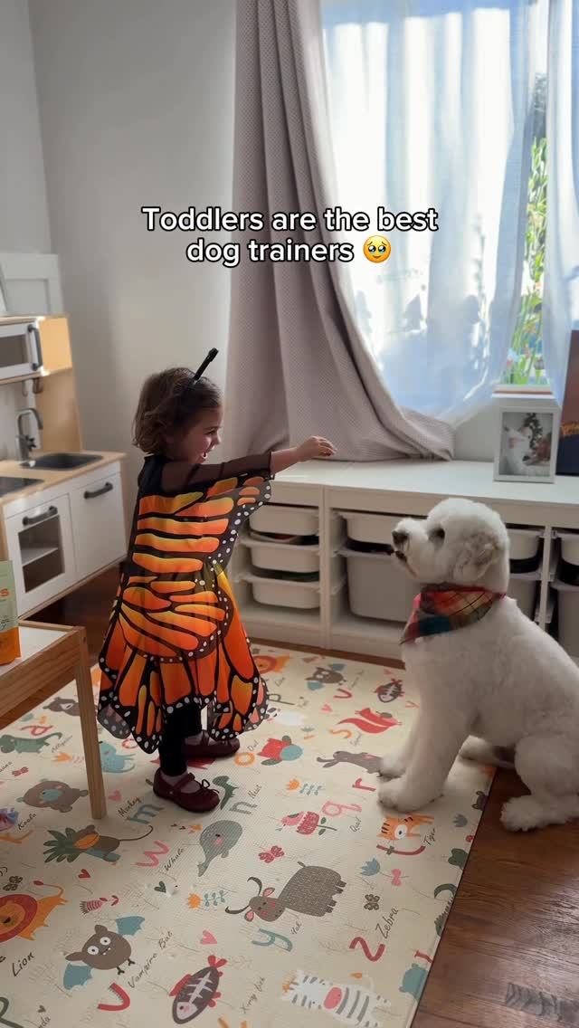 Instagram post by @mostlythedoodle for Jinx. Caption reads: [...] best treats — that’s why we love @thinkjinx....