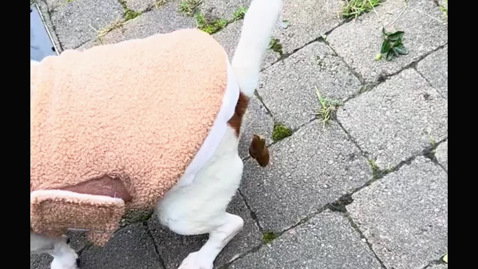 TikTok post by @odette_tiktok06 for Mobile Legends. Caption reads: Yg sering main game masak2 pasti....