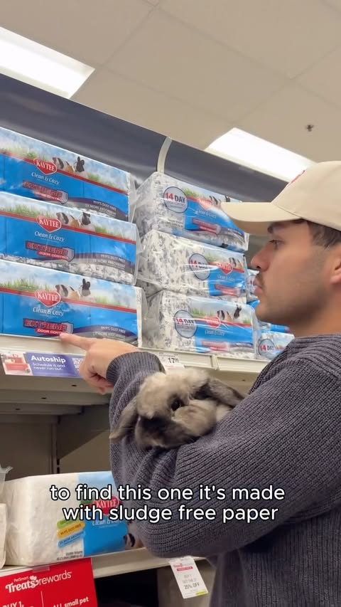 Instagram post by @beef.thebunny for PetSmart. Caption reads: [...] has never been more happy, get yours at....