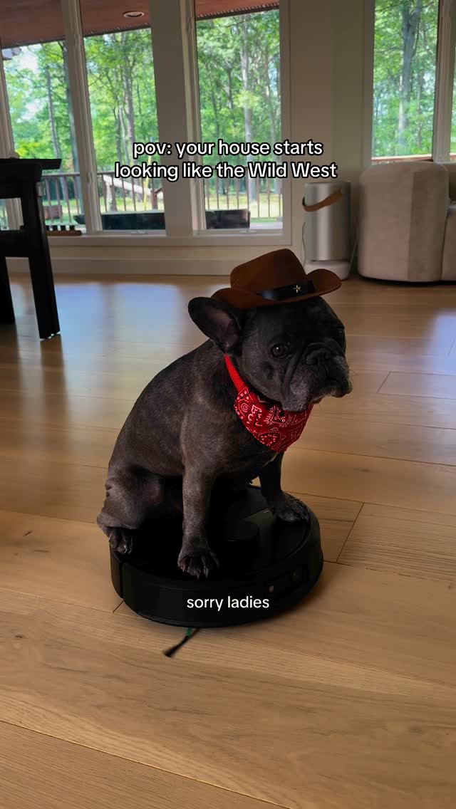 Instagram post by @winstonthefrenchiee_ for iRobot. Caption reads: Had to call in my Stallion @irobot Roomba Max 705....