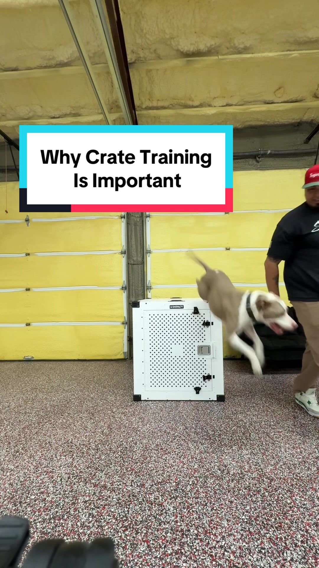 TikTok post by @theveterandogtrainer for Impact Dog Crates. Caption reads: [...] my discount code (Link in bio) for @Impact....