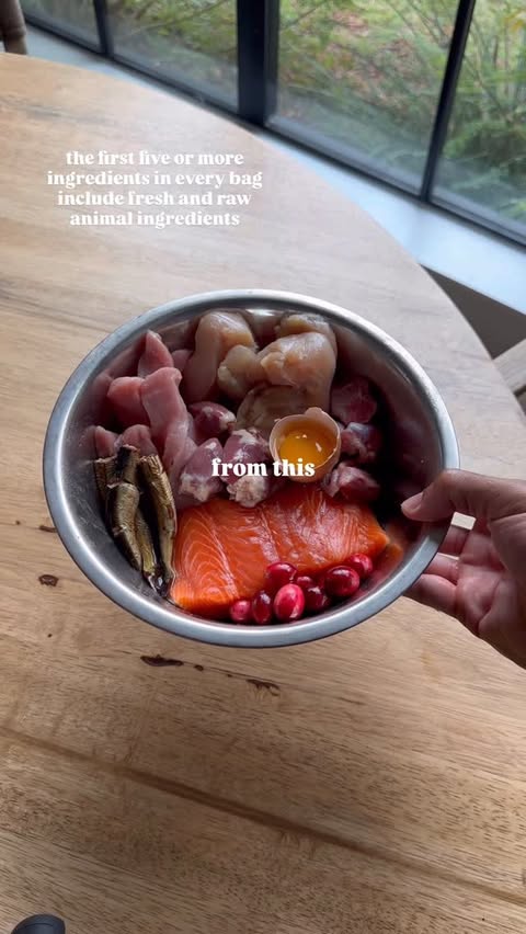 Instagram post by @jalen_noble for ORIJEN Petfoods. Caption reads: A good life for me is measured by the kind of life....