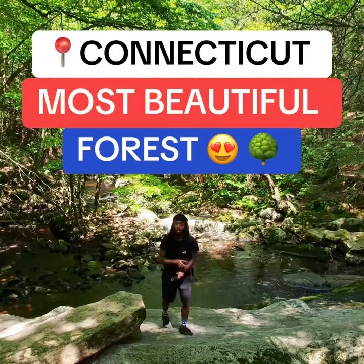 Instagram post by @jimyofficial for Hoverair. Caption reads: My new favorite place in CT 📍 Here a forest 🌳....