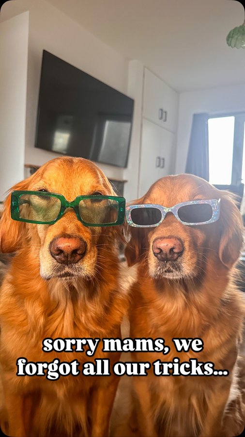 Instagram post by @fredrickandroyston for Burns Pet Food. Caption reads: As soon as that bag comes out, we perform....