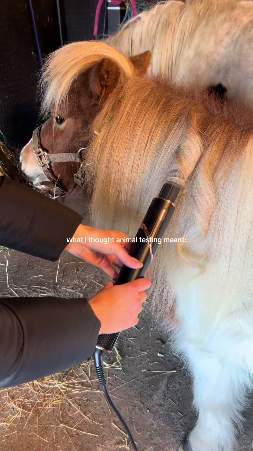 TikTok post by @mollymariecook for Shark Beauty. Caption reads: she’s so iconic 💅 The @Shark Beauty @Shark Beauty....