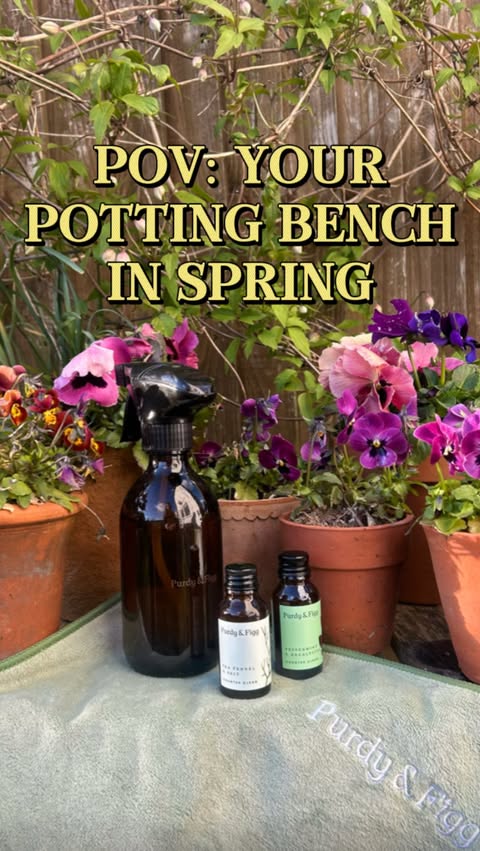 Instagram post by @emjorealdavies for Purdy & Figg. Caption reads: AD - When your potting bench finally gets the....