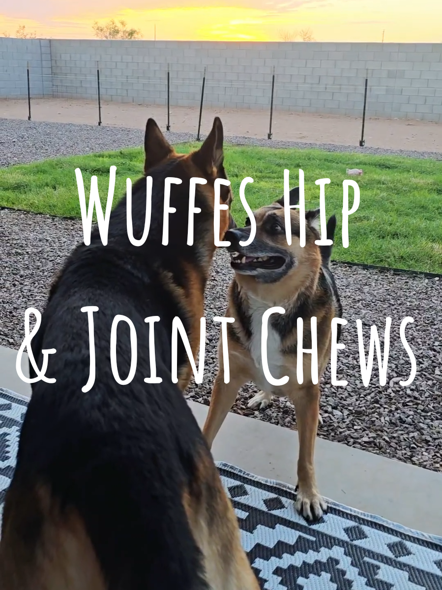 TikTok post by @barkinwiththebryants for Wuffes. Caption reads: @Wuffes Shop thank you for helping us to help....