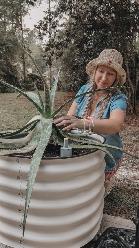 Instagram post by @peachinthepines for Vego Garden. Caption reads: [...] happily found their place in mine. 💚....