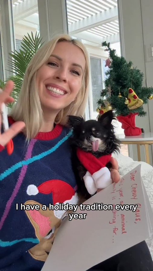 Instagram post by @kittenxlady for Chewy. Caption reads: Here’s a sweet holiday tradition for your animal....