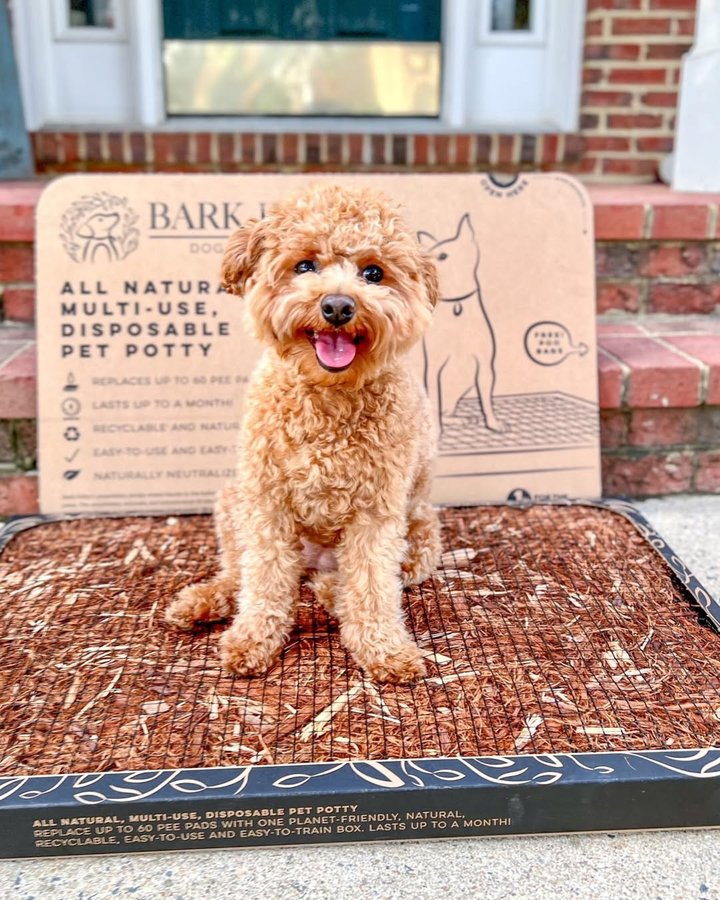 Instagram post by @maiseyjane21 for Bark Potty. Caption reads: Do you hate going potty in the rain? @barkpotty....