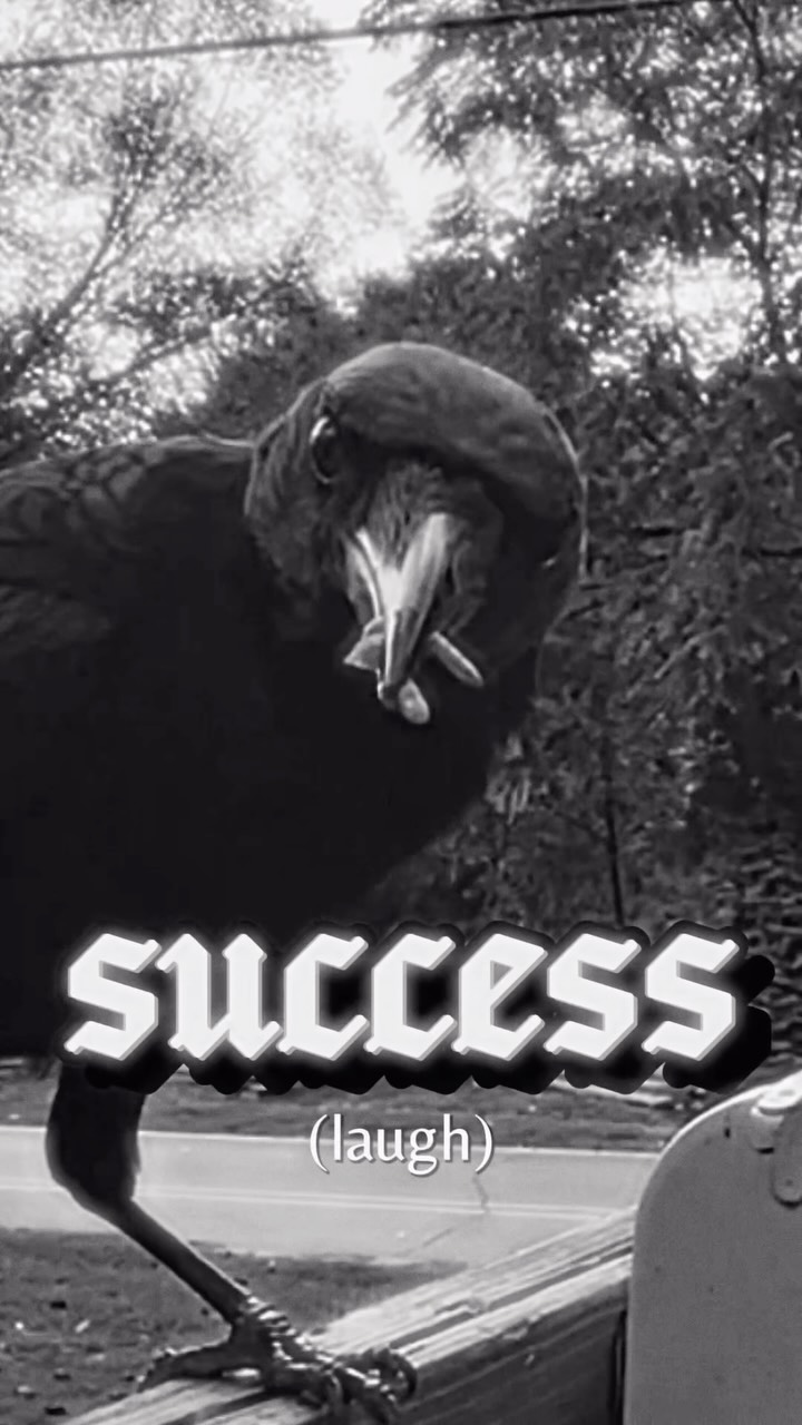 Instagram post by @milkhouse6000 for GIPHY. Caption reads: day179: good evenimg the crows are here once again....