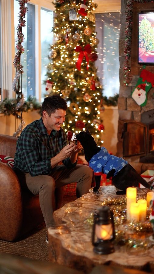 Instagram post by @jjyosh for Fancy Feast. Caption reads: #ad Can you believe the holidays are already here?....