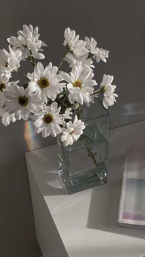 Instagram post by @michelle_tautie for Save The Duck. Caption reads: Bracing New York City Winter with this Stylish,....