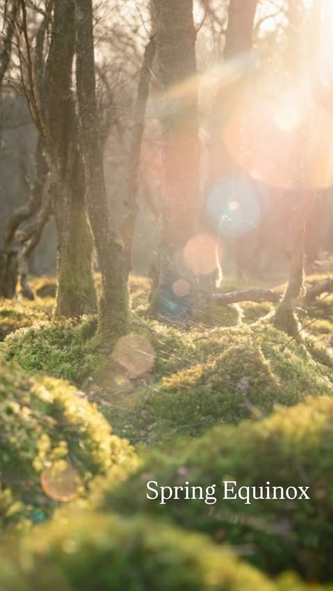 Instagram post by @holeynheritage.photography for Sassenach Spirits. Caption reads: [...] Equinox here in Scotland with....