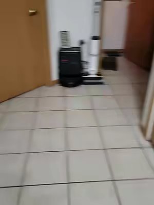 TikTok post by @shawna....e for Woof Pet. Caption reads: [...] #gsp #gspsoftiktok #gspcommunity @Woof Pet.