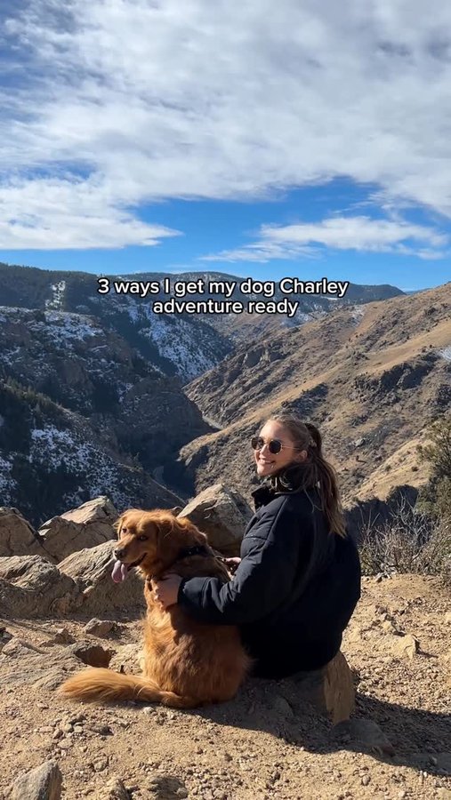 Instagram post by @denverdogguide for ORIJEN Petfoods. Caption reads: Charley’s fueled by ORIJEN™ Wild Reserve #ad —....