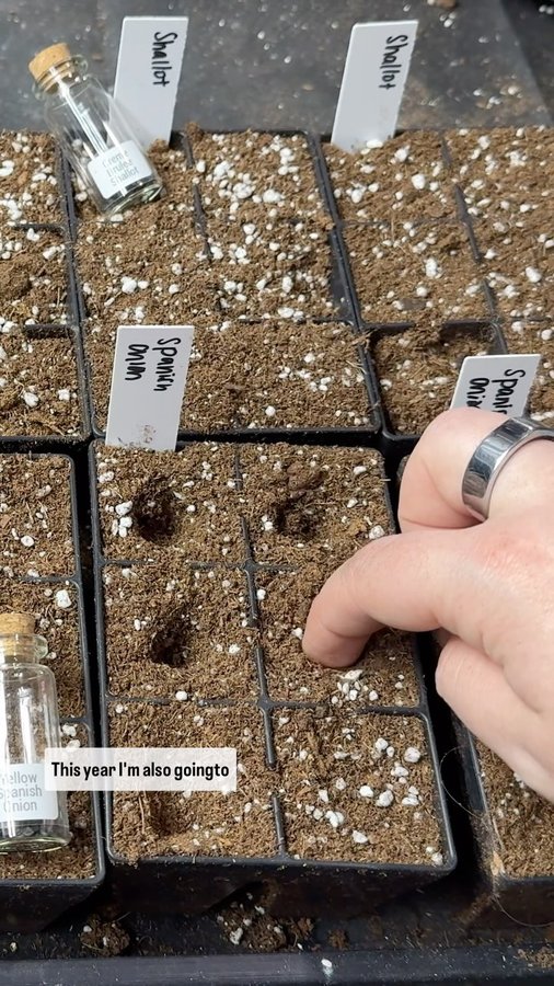 Instagram post by @livingplanetfriendly for Epic Gardening. Caption reads: [...] be able to start some seeds! I use Epic....