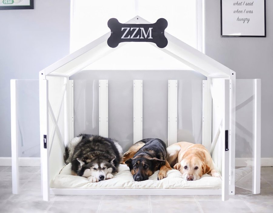 Instagram post by @lyndseydickerson for – Wlo Store. Caption reads: Zoey, Zeus, Milo. My ZZM furry children.
"The....