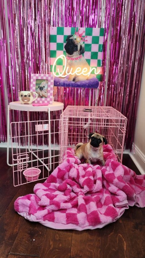 Instagram post by @laurenquigleycreations for Yellowpop. Caption reads: [...] a crazy cool, new product from @yellowpop! A....