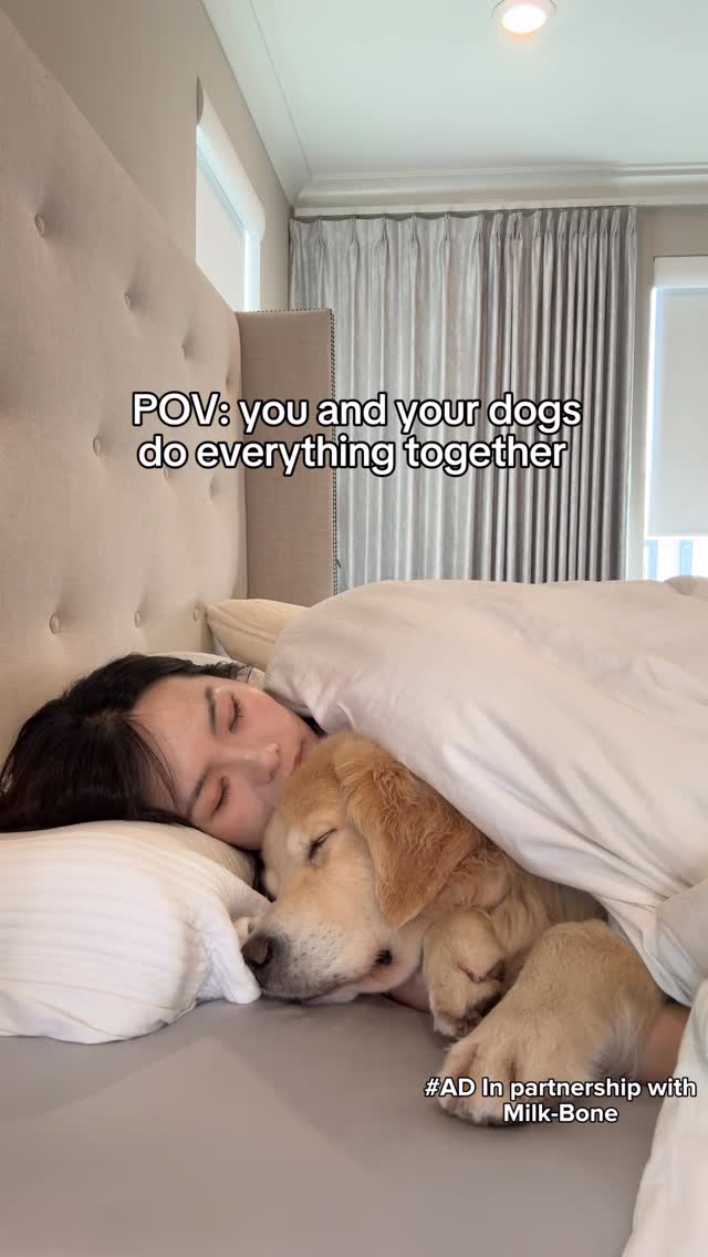 Instagram post by @maui_thegoldenpup for Milk-Bone. Caption reads: #ad My dogs and I share love for almost....