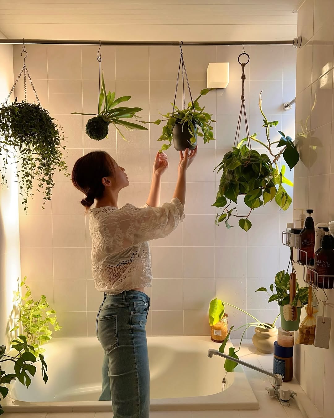 Instagram post by @mi__co.jp for AND PLANTS. Caption reads: .
お風呂ジャングル化計画進行中！
 
新たに @andplants.jp....