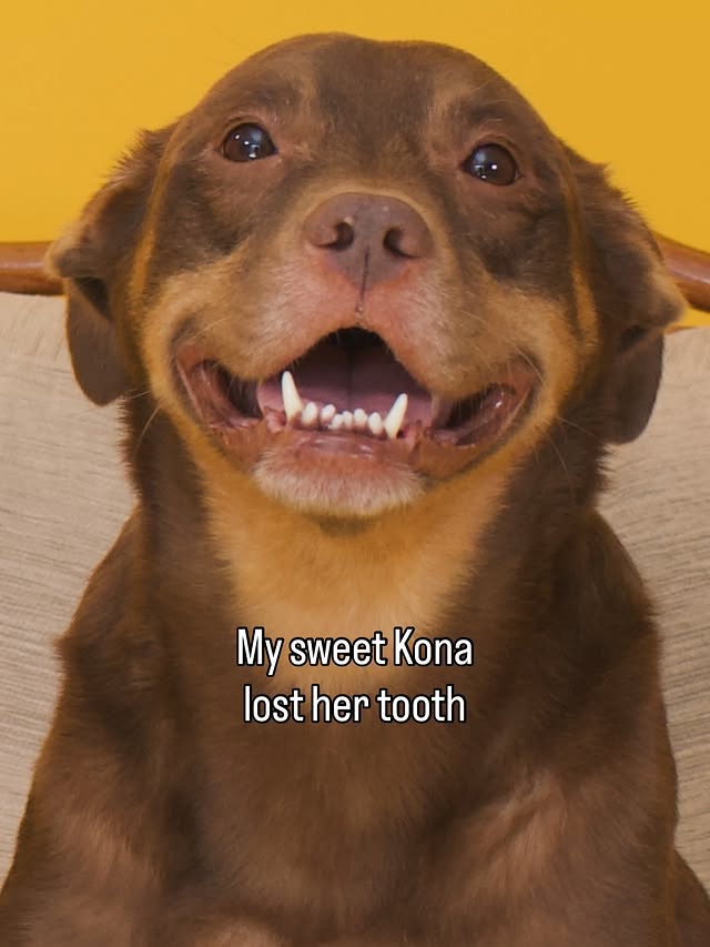 Instagram post by @makoandkonasmom for King Lou. Caption reads: [...] so that’s close enough to a dollar....