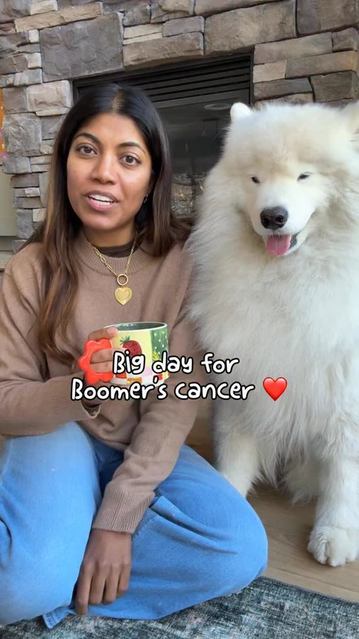 Instagram post by @life.with.a.landcloud for PetSmart. Caption reads: Today is a big day!!! ❤️‍🩹

When Boomer got his....