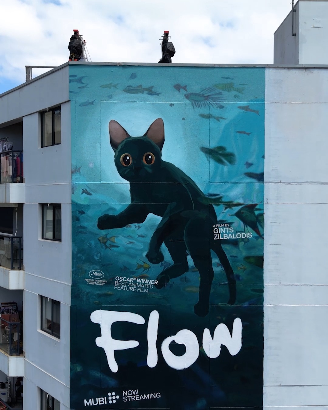 Instagram post by @gzilbalodis for MUBI. Caption reads: To celebrate FLOW streaming in Australia and New....