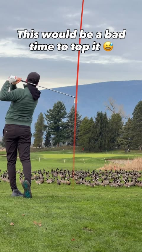 Instagram post by @michaelcaan for VICE GOLF. Caption reads: Shouldn’t these geese have gone sour for the....