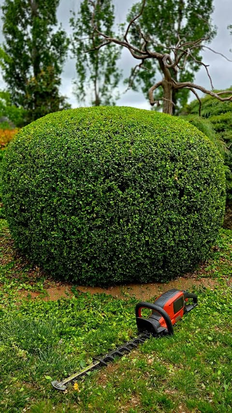 Instagram post by @southerncrossgardens for Husqvarna. Caption reads: [...] anticlockwise. 🍃
.
I'm using the new....