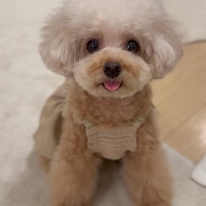 Instagram post by @emmachan.moco for Mon Cheri. Caption reads: 👅ﾁﾛｯ

新しいｷｬﾐﾜﾝﾋﾟｰｽだよ
肩の飾りﾘﾎﾞﾝとかぎ編みがかわいい♡⃛︎

ﾘﾈﾝ素材....