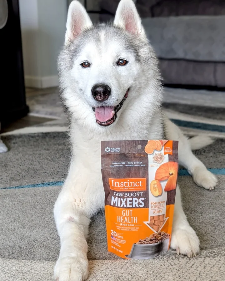 Instagram post by @snowdogsvlogs for Instinct Pet Food. Caption reads: #ad My oldest dog has been getting more and more....