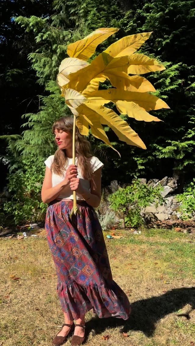 Instagram post by @aleladiane for Christy Dawn. Caption reads: Me and a giant leaf here to say hello & to remind....