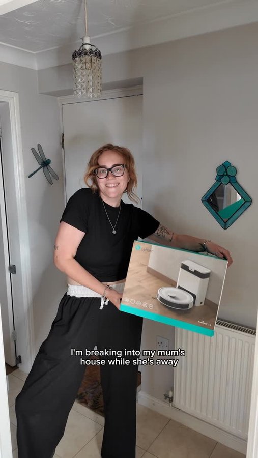 Instagram post by @cleanqueenchloe for Lefant. Caption reads: [...] fight the fur 🐾🧽

Surprise gift: the....