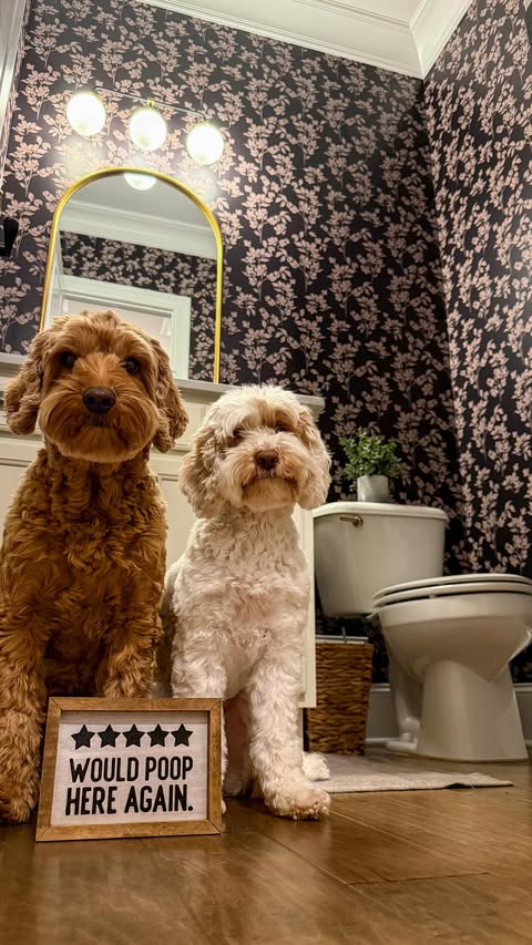 Instagram post by @copper.and.lily for lovevsdesign. Caption reads: [...] Foliage Glissade Wallpaper from....