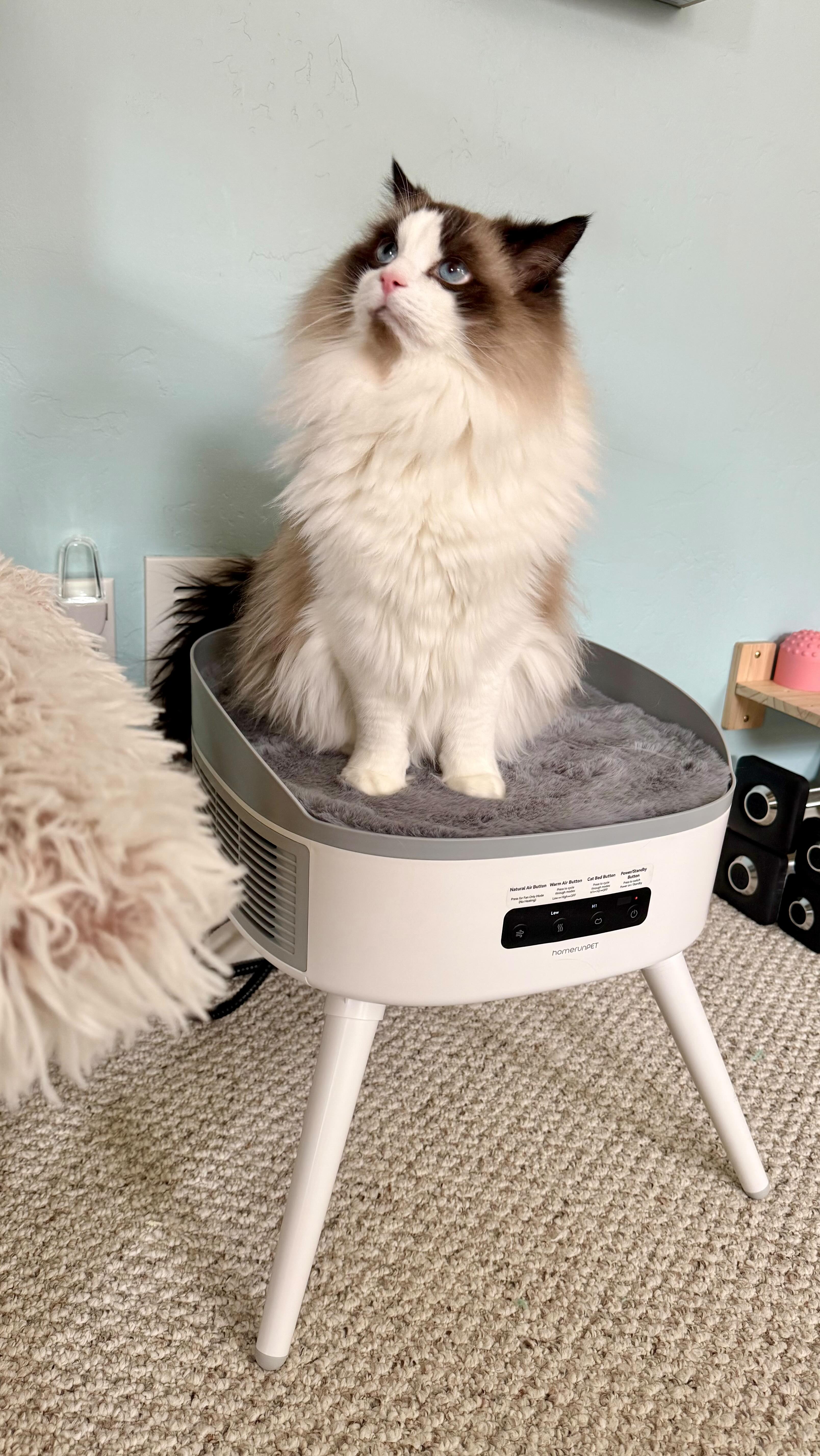 Instagram post by @aria_and_river for Homerunpet. Caption reads: #ad The homerunPET Pet-Friendly Space Heater was....