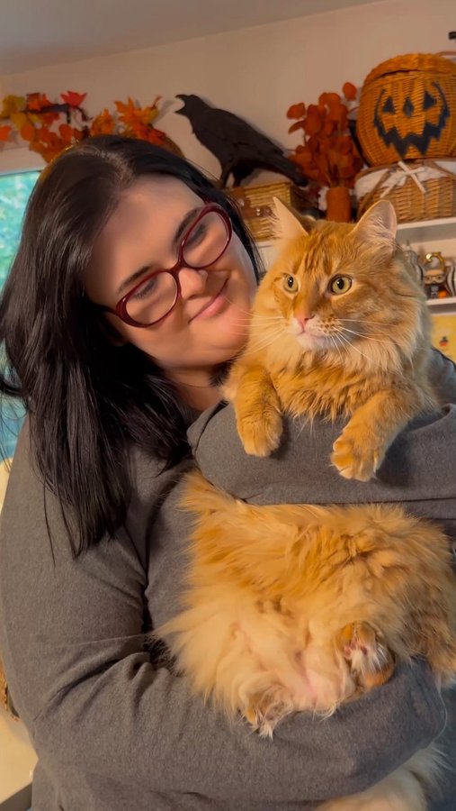 Instagram post by @roseybeeme for Litter-Robot. Caption reads: COMMENT CAT to get a link to the new Litter-Robot....