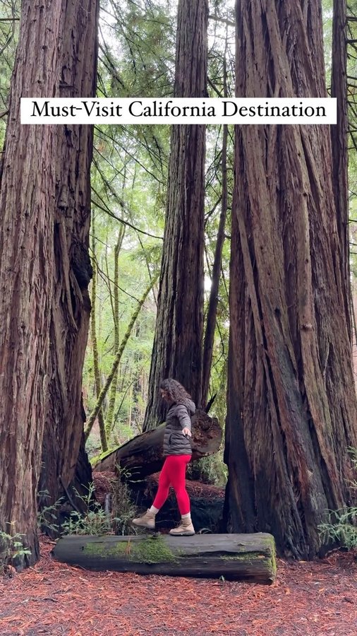 Instagram post by @lewildexplorer for Sonoma County. Caption reads: [...] & epic adventures ⤵️ #sponsored |....