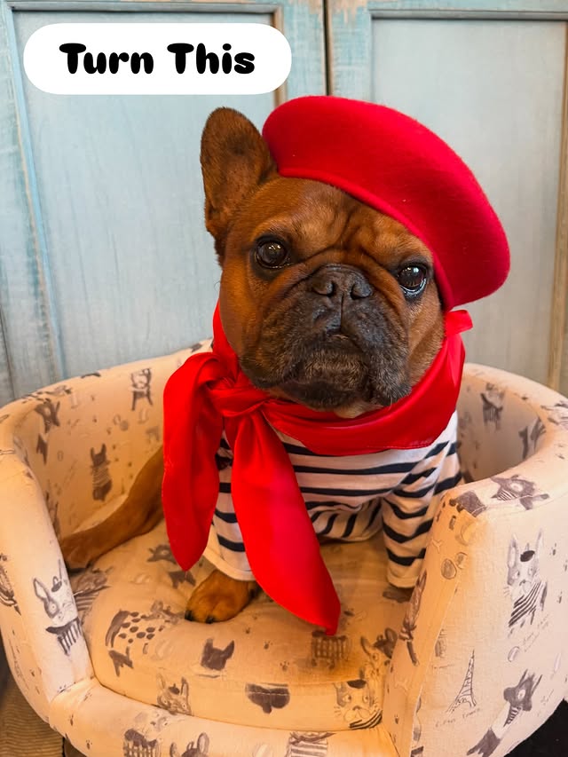 Instagram post by @dunkinthefrenchie for All About Vibe. Caption reads: [...] our custom pillow #gifted to us by....